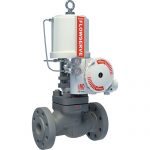Flowserve Valtek LinearGlobe AngleControlValves MarkOne
