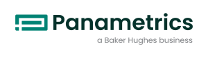 panametrics logo 1
